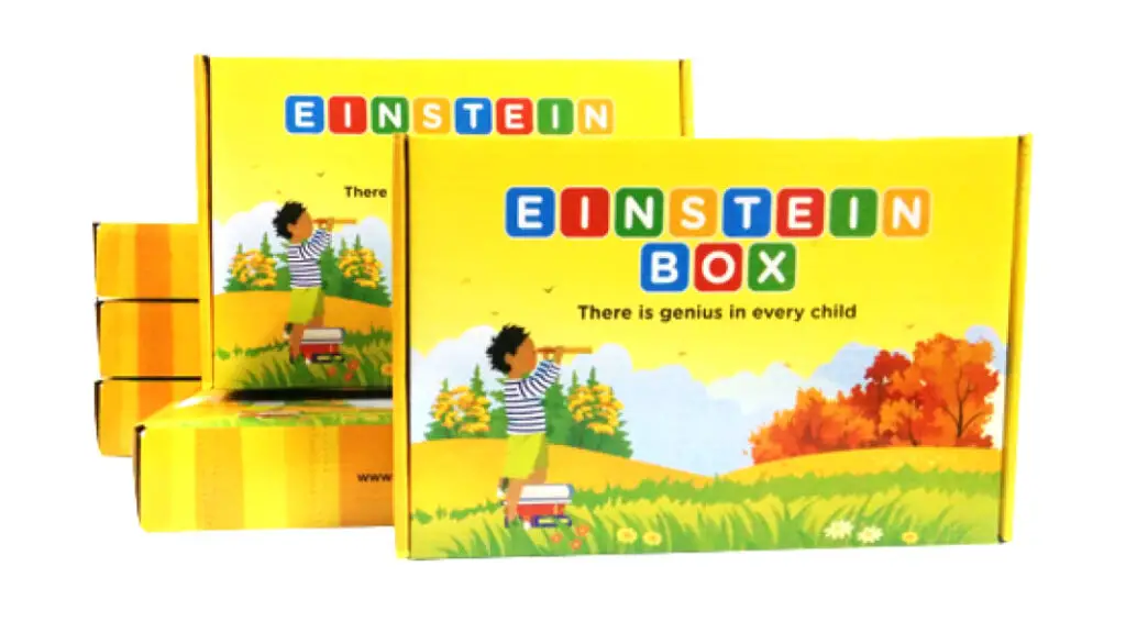 आइंस्टीन बॉक्स फॉर 1 ईयर ओल्ड्स (Einstein Box for 1 Year Olds)